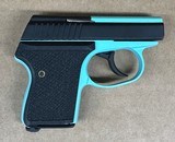 Seecamp LWS 32 ACP Gun Robin's Egg Blue REBLUEW - 1 of 2