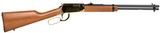 Rossi Rio Bravo 22 LR Gold 18