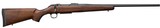 CZ 600 ST3 American 270 Win American Walnut Stock 24