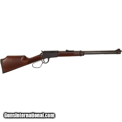 Henry Express Varmint 17 HMR Large Loop 19