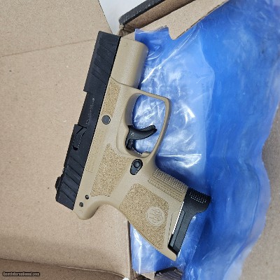 Beretta APX A1 Carry Flat Dark Earth 9mm Pistol - 3.3