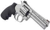 Colt King Cobra 22 LR Stainless Steel 4