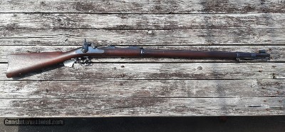 1886 Dated Springfield Model of 1884 Trapdoor Rifle w/ Sight Hood- Very Good 90-95%
