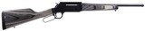 Henry Long Ranger Express 223 16