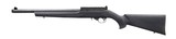 Ruger 10/22 Carbine 22 LR 16