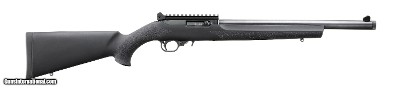 Ruger 10/22 Carbine 22 LR 16