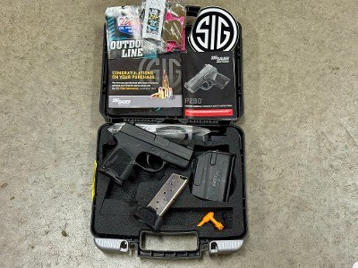 Sig Sauer P290RS 9mm P290 Original Case Holster Grip Panels CCW - Image 1 of 7