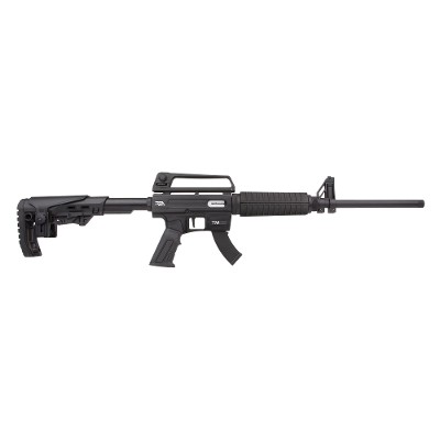 RIA Rock Island Armory TM22 22 LR Semi Auto 18