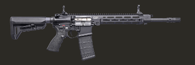 LMT Defense R20 RAHE REFERENCE RIFLE 556 Nato 14.3