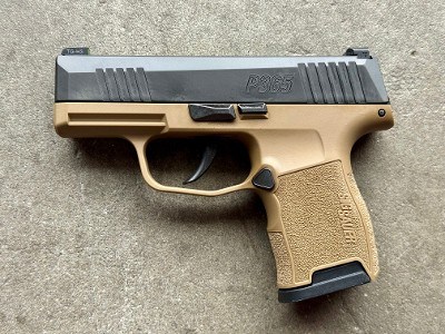 Sig Sauer P365 9mm 3.1