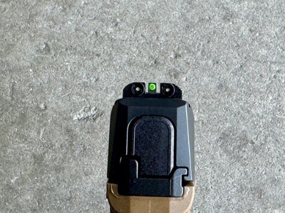 Sig Sauer P365 9mm 3.1