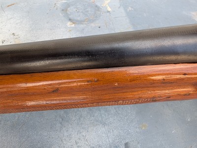 1969 Belgian Browning Auto-5 Sweet Sixteen 16ga Solid Rib - Image 5 of 5