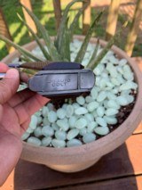 Colt 38 Super First year of production 1929 - 10 of 12