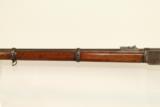 Antique Winchester Model 1873 Lever Action Musket with Factory Letter! - 9 of 16