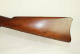 FINE Indian Wars Antique U.S. Springfield Model 1884 Trapdoor Rifle with Bayonet, Frog, Sling and Case Colors - 14 of 24