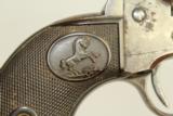 SCARCE 1897 "Transitional" .32-20 Peacemaker Colt Single Action Army Revolver with Belt
- 13 of 23