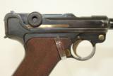 ICONIC Pre-WWII Nazi Sneak Luger Pistol with Hitler Youth Blade - 23 of 25