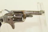  19th Cent. Antique COLT New Line .22 CCW Revolver - 9 of 9