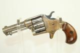  Robber Baron MURDER Weapon SCARCE Colt Cloverleaf - 16 of 20