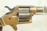  Robber Baron MURDER Weapon SCARCE Colt Cloverleaf - 6 of 20