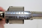 BELGIAN Antique “EUREKA BULL DOG” Revolver - 6 of 14