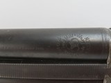 Engraved GERMAN J.P. SAUER & SOHN SxS Top-lever HAMMER Shotgun MILLER & VAL. GREISS Retailed 16 Gauge C&R Shotgun - 11 of 25