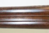 SCARCE Engraved Antique COLT Model 1878 10 Gauge Side x Side HAMMER SHOTGUN Double Barrel Made in 1883 with Damascus Barrels - 10 of 19