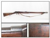 Antique ENFIELD MARTINI-HENRY MKIV Single Shot .577/450 FALLING BLOCK Rifle 1902 Dated Stock with Sanskrit Markings - 1 of 24