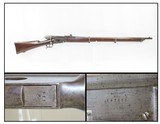 SWISS Antique BERN Model 1869/71 VETTERLI Bolt Action 10.4mm MILITARY Rifle High 12 Round Capacity in a Quality Military Rifle - 1 of 19