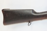 EGYPTIAN Antique REMINGTON Rolling Block M1868 No. 1 MILITARY Rifle .43 Nice 19th Century Military Firearm - 16 of 20