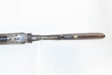 c1881 mfr. Antique COLT Model 1878 10 Gauge Side by Side HAMMER SHOTGUN SxS Scarce Colt Double Gun in 10 Gauge - 9 of 21
