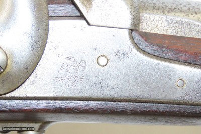 Antique U.S. SPRINGFIELD ARMORY Model 1847 Percussion ARTILLERY MUSKETOON MEXICAN AMERICAN WAR / CIVIL WAR Musket! - Image 7 of 19
