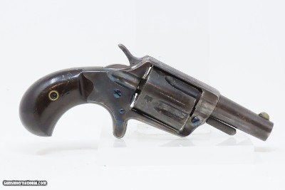 CASED London Proofed Antique COLT NEW LINE .38 Cal. ETCHED PANEL RevolverVERY NICE British Conceal & Carry Gun with ACCESSORIES - Image 19 of 22