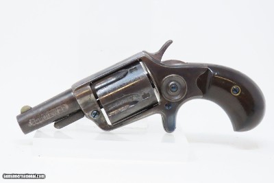 CASED London Proofed Antique COLT NEW LINE .38 Cal. ETCHED PANEL RevolverVERY NICE British Conceal & Carry Gun with ACCESSORIES - Image 6 of 22