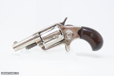 CASED Antique BRITISH Proofed COLT NEW LINE .38 Cal. ETCHED PANEL RevolverFINE British Conceal & Carry SELF DEFENSE Gun - Image 6 of 21
