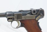 SCARCE DWM 9x19mm 1906 Commercial LUGER Pistol C&RPistol Used in BOTH WORLD WARS - 4 of 18
