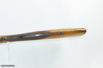 ENGRAVED & GOLD INLAID Antique NOWOTNY Percussion 12g DOUBLE BARREL Shotgun FINE Gorgeously Engraved, Gold Inlaid Maker Marked - Image 7 of 20