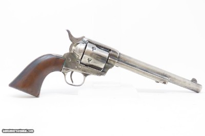 Antique GOVT RINALDO A. CARR Inspected U.S. CAVALRY Model COLT SAA Revolver Antique U.S. Colt Contract Made in 1891 - Image 17 of 20