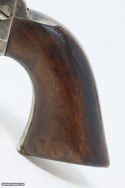 Antique GOVT RINALDO A. CARR Inspected U.S. CAVALRY Model COLT SAA Revolver Antique U.S. Colt Contract Made in 1891 - Image 3 of 20
