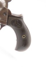 COLT M1877 THUNDERER .41 Long Colt Double Action C&R Revolver DOC HOLLIDAY
TURN OF THE CENTURY DA Revolver Made in 1901 - 3 of 20