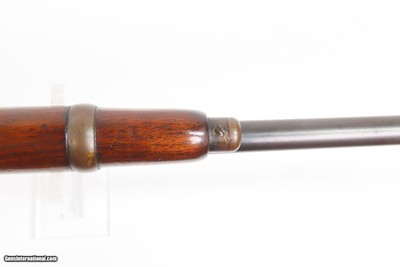 1905 mfr. WINCHESTER Model 1894 .32 WS Lever Action SADDLE RING CARBINE C&R John Moses Browning Design 20” 1/2 Magazine, Shotgun Butt - Image 8 of 25