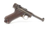 Iconic Pre-WORLD WAR II Era DWM 7.65mm P.08 GERMAN LUGER C&R Pistol HOLSTER Smaller Cal. Forced Under the TREATY OF VERSAILLES - 4 of 19