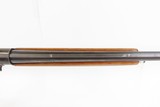 BELGIAN BROWNING Semi-Auto AUTO 5 “Light Twelve” HAMMERLESS Shotgun C&R
Engraved HUNTING/SPORTING 12 Gauge SHOTGUN - 11 of 21