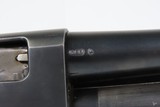 1946 mfg. REMINGTON ARMS M31 16 Gauge SLIDE ACTION Shotgun C&R GAME GETTER
Post-World War II Era PUMP ACTION Sporting Gun - 5 of 19