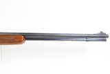 SMALL GAME Ready MARLIN M781 Bolt Action .22 RF Modern Sporting Rifle SCOPE 1976-88 Mfg. PLINKER/HUNTING Squirrel/Rabbit Rifle - 2 of 20