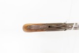 Antique ENGRAVED .52 Percussion SHEATHING CANE GUN w/BRASS TIP Tampion Plug Common Accessory of the VICTORIAN GENTLEMAN - 11 of 21