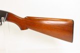 Pre-World War II WINCHESTER M42 SLIDE ACTION .410 g. HAMMERLESS Shotgun C&R “EVERYBODY’S SWEETHEART” Hunting/Sporting Gun - 18 of 21
