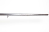 BELGIAN PROOFED 16 Gauge Double Barrel SxS HUNTING/SPORTING Shotgun C&RTurn of the Century Import from Belgium to the U.S. - 3 of 24