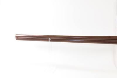 ENGRAVED Antique I. HOLLIS & SONS 10 Gauge Percussion DOUBLE BARREL Shotgun LONDON MADE Longarm from the mid-19th Century - Image 17 of 24