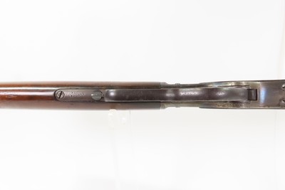 Game Scene Engraved Antique WINCHESTER M1873 Lever Action Rifle .44-40 WCFWith Cody Letter; Made 1886 New Haven - Image 9 of 24